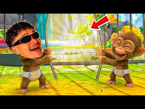 Escaping the zoo cage with the little monkey - I AM monkey VR