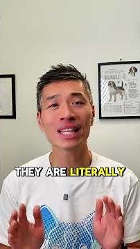 How to STOP Barking Dogs