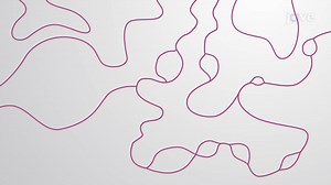 Video: 染色体复制