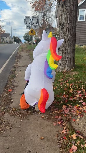 Megan Webster on Reels