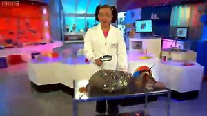 Cbeebies Nina And The Neurons In The Lab Marvellous Milk 5x25...mp4
