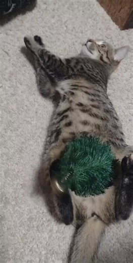 balzer (@balzer782)’s videos with оригинальный звук - balzer