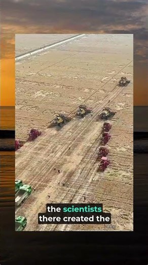 Modern Agriculture in Brazil