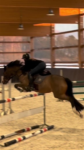 Back in the Pony Saddle: Meet the Cutest Pony Ever!