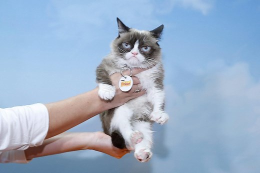 The 12 Most Famous Cats in Pop Culture History