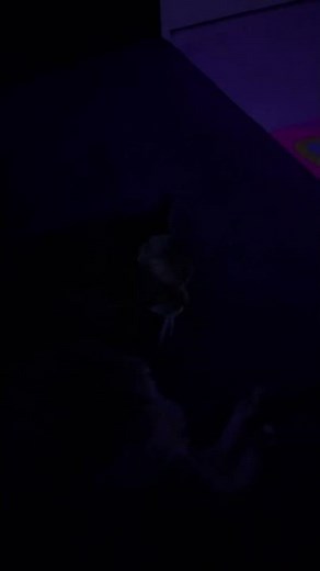 Tucker mobbin out with me😮‍💨🤙 #$uicide Boy$