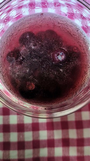 冷凍ブルーベリーとウイスキーと炭酸水