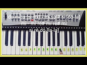 Beethoven / Para Elisa / Piano / Tutorial fácil con NOTAS MUSICALES