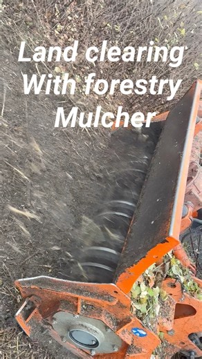 Land clearing with forestry mulcher : cost effective, fast and perfect results | Defrisare terenuri
