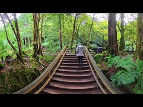 4K 360 Hot Springs and gardens at Piscina de aguas termales, Sao Miguel, Azores
