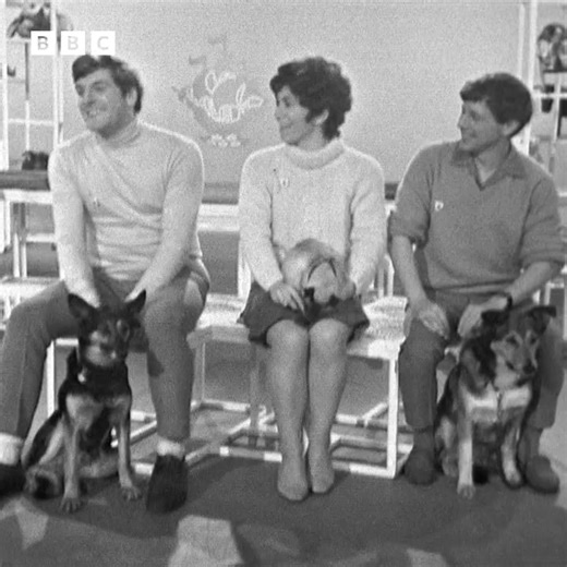 BBC Archive on Instagram: "#OnThisDay 1967: "This ball is meant for riding." Blue Peter tested out some space hoppers. Clip taken from Blue Peter, 27 November 1967 #BBCArchive #Spacehopper #Toys"