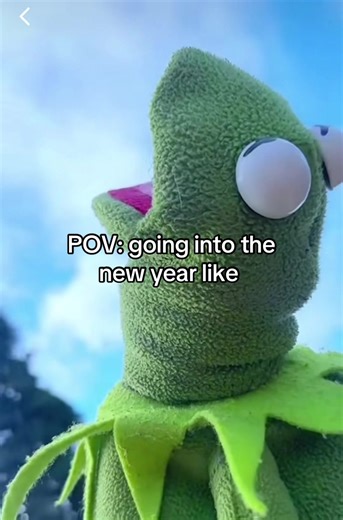 POV: Entering the New Year with Kermit the Frog