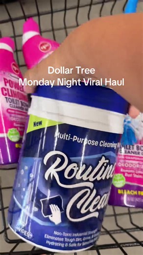 Discover Dollar Tree Must-Haves for Monday Night Shopping