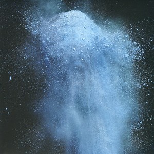 The Fish Police - The Marzipan Transformations