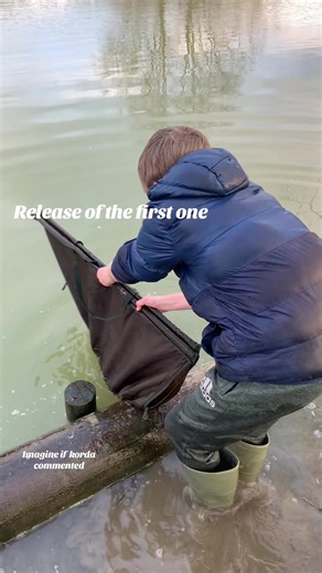 Releasing this stunner of a fish can’t wait to get back out on the bank and do this all again #fyp #carpfishinguk #fishing #korda #foxinternational @Team Korda @Fox International @Fish With Carl @Lord Of The gingers fishing
