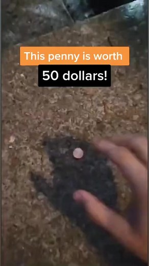 41K views · 1.1K reactions | This penny is worth 50 dollars! #coins #coincollecting #money #penny #pennies #facebook | CoinHub | Facebook
