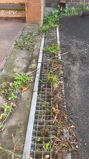 2.4M views · 18K reactions | The best soil in the world! #satisfying #soil #compost #urbangardening #gardening #construction #shorts #fyp #landscaping #asmr #tools #cleaning #tips #lawncare | Nathans Lawns and Gardens | Facebook