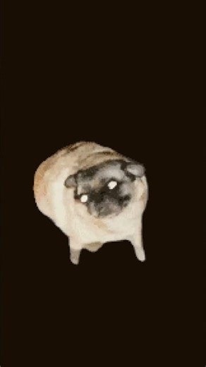 Pls like #cute #memes