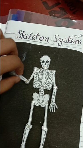 science file project