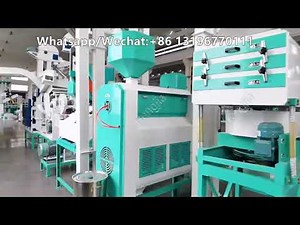 Custom 25T/D Rice Mill Plant Revealed! | Full Automatic Rice Processing Line by Hongjia #ricemill