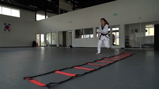 12 Agility Ladder Drills for Martial Artists