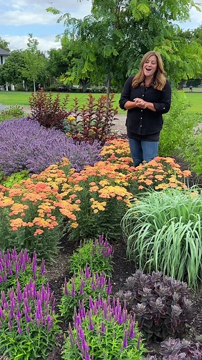 Firefly Peach Yarrow is an amazing drought-tolerant perennial that is hardy in zones 3-8. Enjoy watching the beautiful butterflies and bees that will visit this long-blooming plant all summer long! Available in three other colors. Check the link in our bio to learn more. #GardenAnswer #ProvenWinners #perennial #droughttolerant #plantok #gardenlife #gardening #gardening101 #fyp