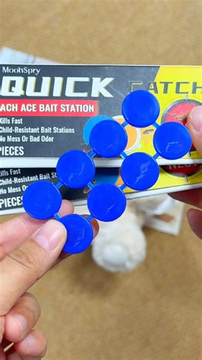 50% Off Pest Control Activity Promotion