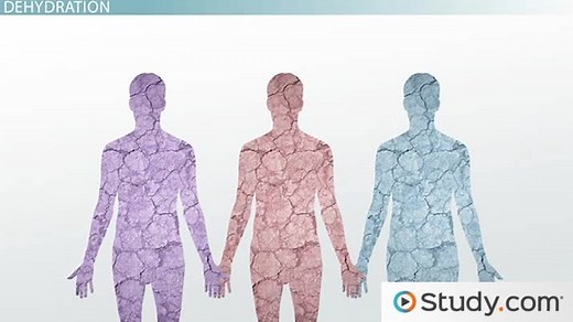 Dehydration & Other Concerns of Water Intake in the Body