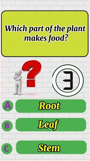 Can You Answer These 2 Easy Science Questions? 🤔