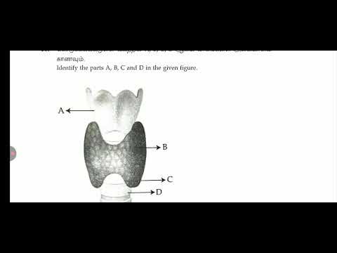 10th std Science public Exam original Question paper March-2026 important Question Bank key Ans-1