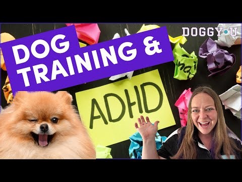 Top 10 Dog Training Hacks for People with ADHD