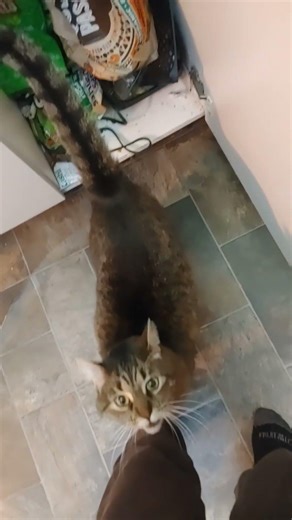 je vous montre comment réellement ouvrir un paquet de chips