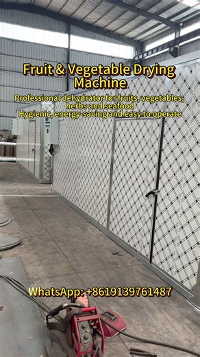 Fruit & vegetable drying machine: energy-saving, even drying & easy operation.