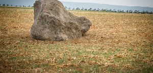 BlenderRockMasterKit: Realistic 3D scanned models [$]