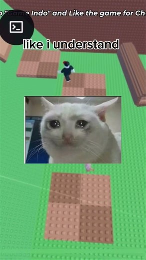 Facetime………. #roblox #funny #funny #rant #trending