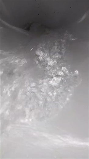 Flush the toilet ASMR #asmr #foryou #ytshorts #viral #trnding #explore #humor