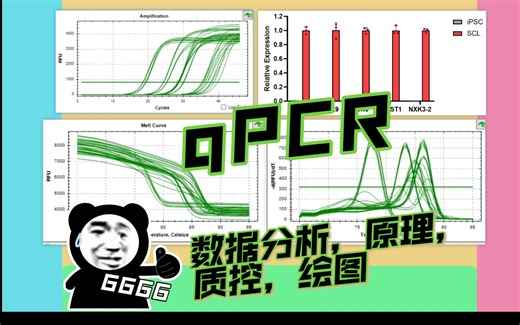 qPCR 数据分析 质控 绘图 原理