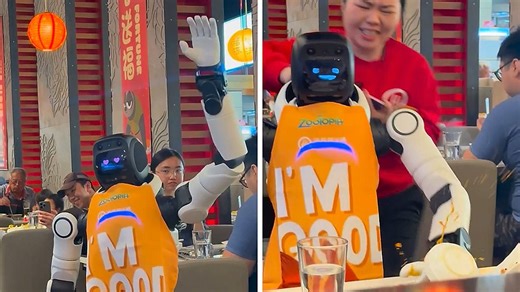 Dancing robot dragged away by waitress after it smacks food off table