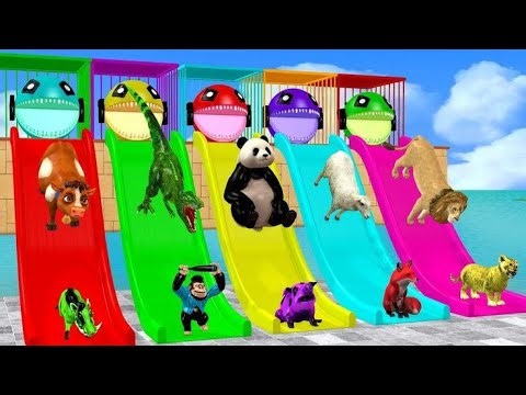 3D animals game 🎮 dekhe