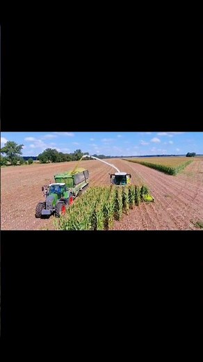 Corn Harvesting in Action | Forage Harvester & Tractor | Modern Farming Technology