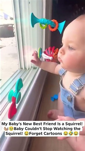 My Baby's New Best Friend Is a Squirrel!🥹Baby Couldn't Stop Watching the Squirrel! 😂Forget Cartoons