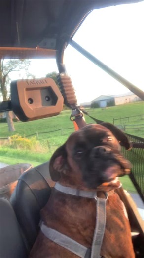 Bs84 (@bstovall1984)’s videos with original sound - Bs84