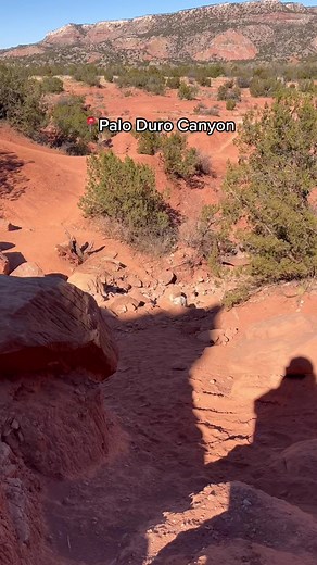 Lauren Romeo on TikTok