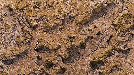 Earth tides: Why our planet's crust has tides too