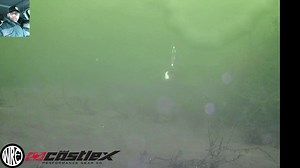 LIVE Fishing! www.wolfrivercam.com https://www.castlesales.com | Wolf River Cam