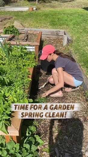 2.4K views · 23 reactions | Spring is here, and with this beautiful weather we spent the afternoon doing a bit of a spring clean! Always enjoyable when we get to work together in the garden. #spring #gardening #homesteading #homesteadliving #permaculture #organic #homegrown #family #workingtogether #familytime | Big Little Farm | Facebook