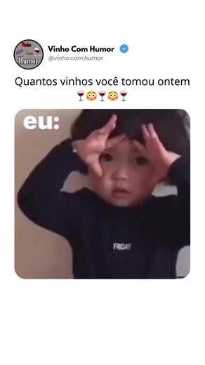 Bem vindos(as) a melhor pagina de humor 😂 on Instagram: "Perdi as contas kkk #vinho #humor #memes"
