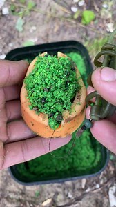 The Ultimate Guide to Fishing Styles and Tips