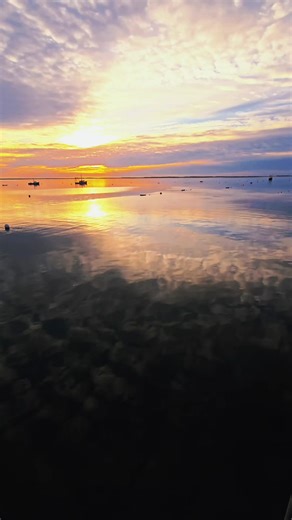 I live your life for YOU! be bold. With determination. And live your life with intention. Life is too short for anything else. You're going to blink and your life is going to be over. And probably when you least expect it. Don't wait...#capecodboy4life