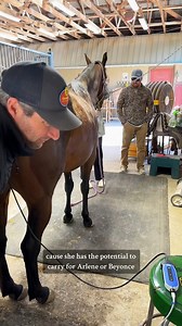 Breeding Season has begun!!!🐴 | Katie Van Slyke